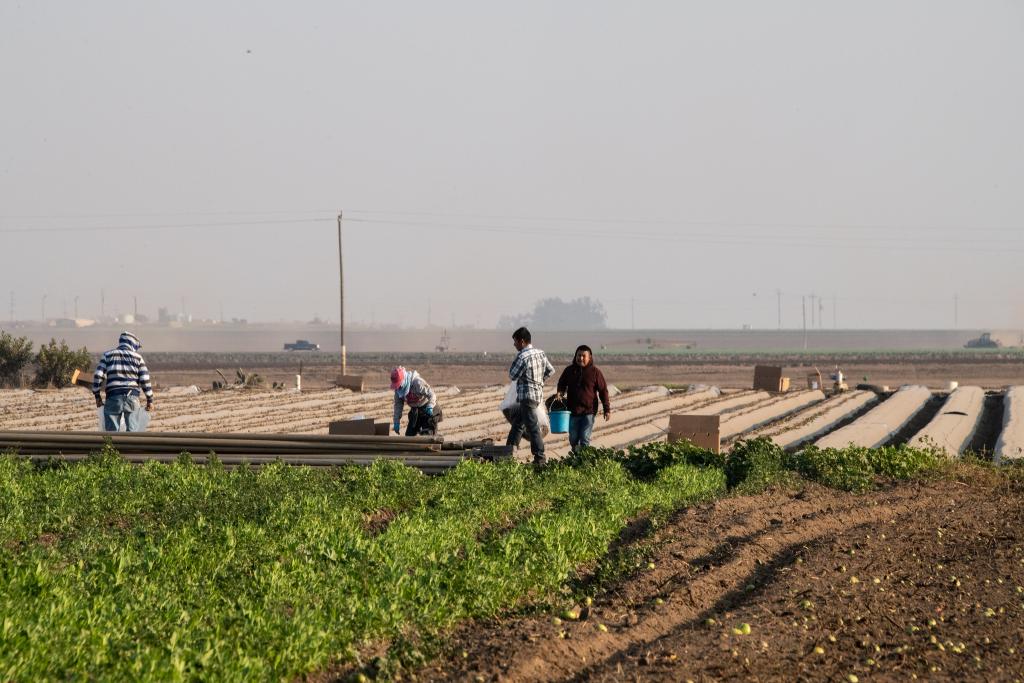 Agriculture Workers
